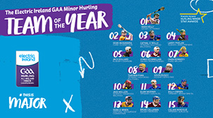 J6297_TOTY_Hurling_303x168